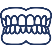 Dental illustration showing aligned upper and lower teeth in profile view.