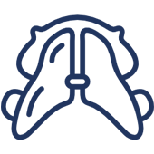 Outline icon of open airway anatomy, representing dental or medical treatment.